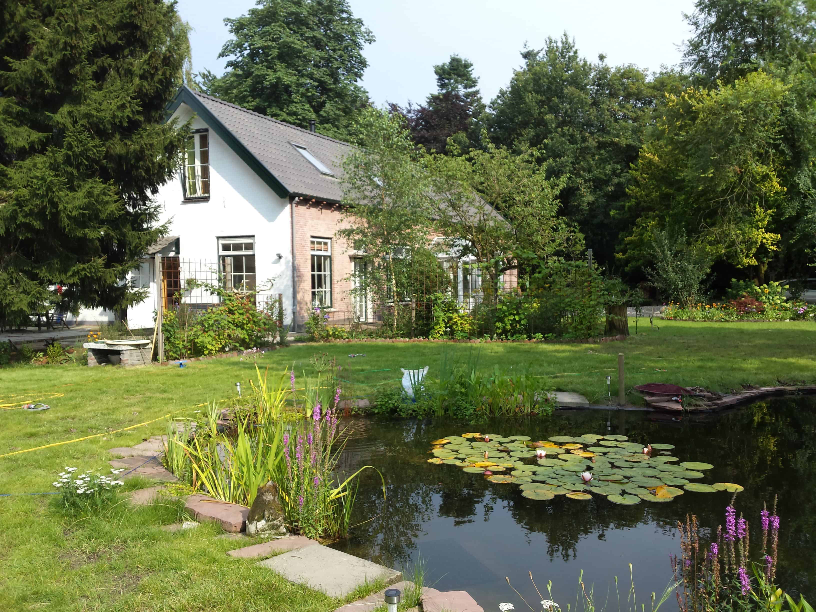 Pond Excavation image