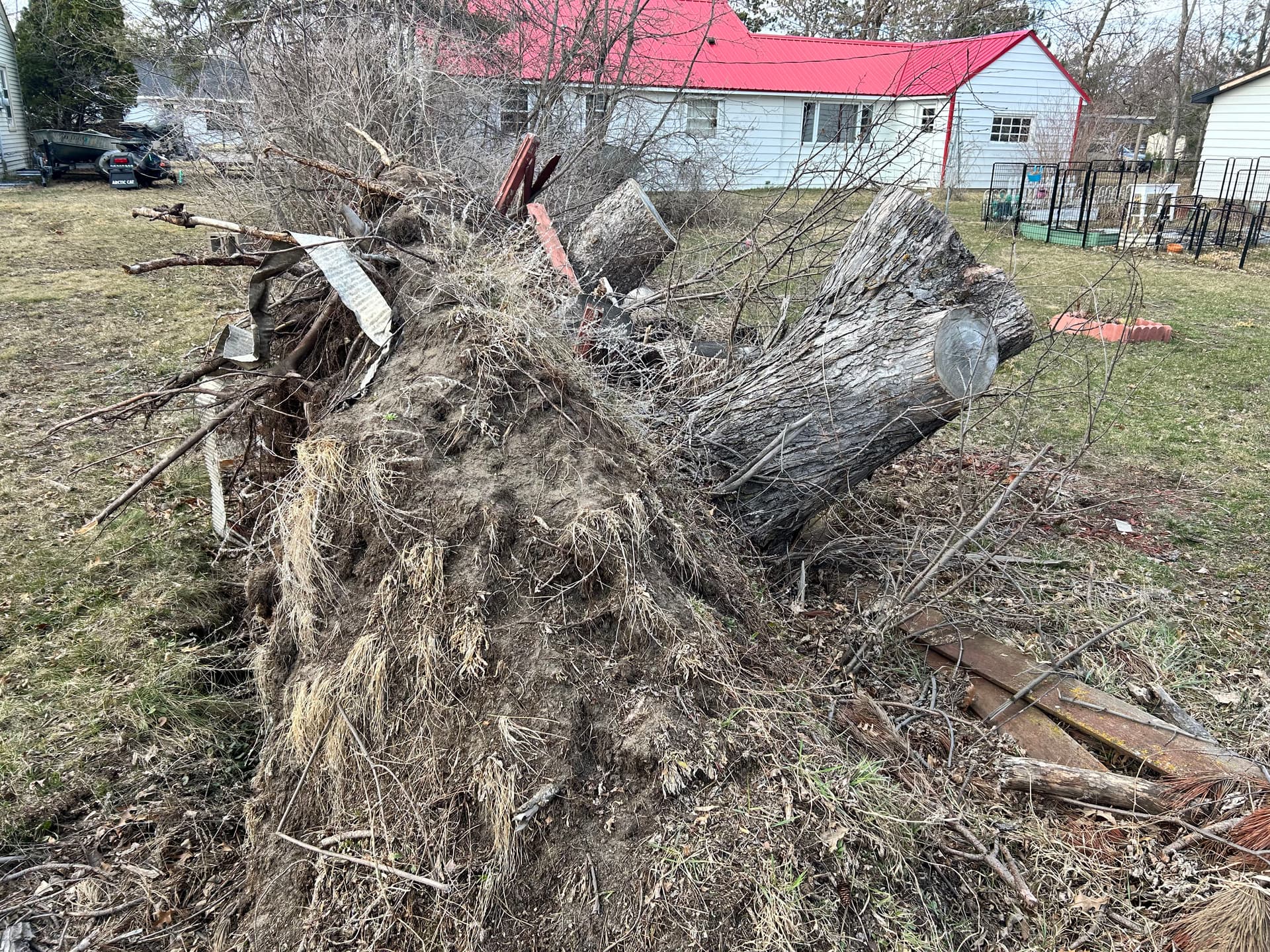 Gallery photos for Stump Removal Done Right - Full Grading and Grass Seed Finish: Image #1