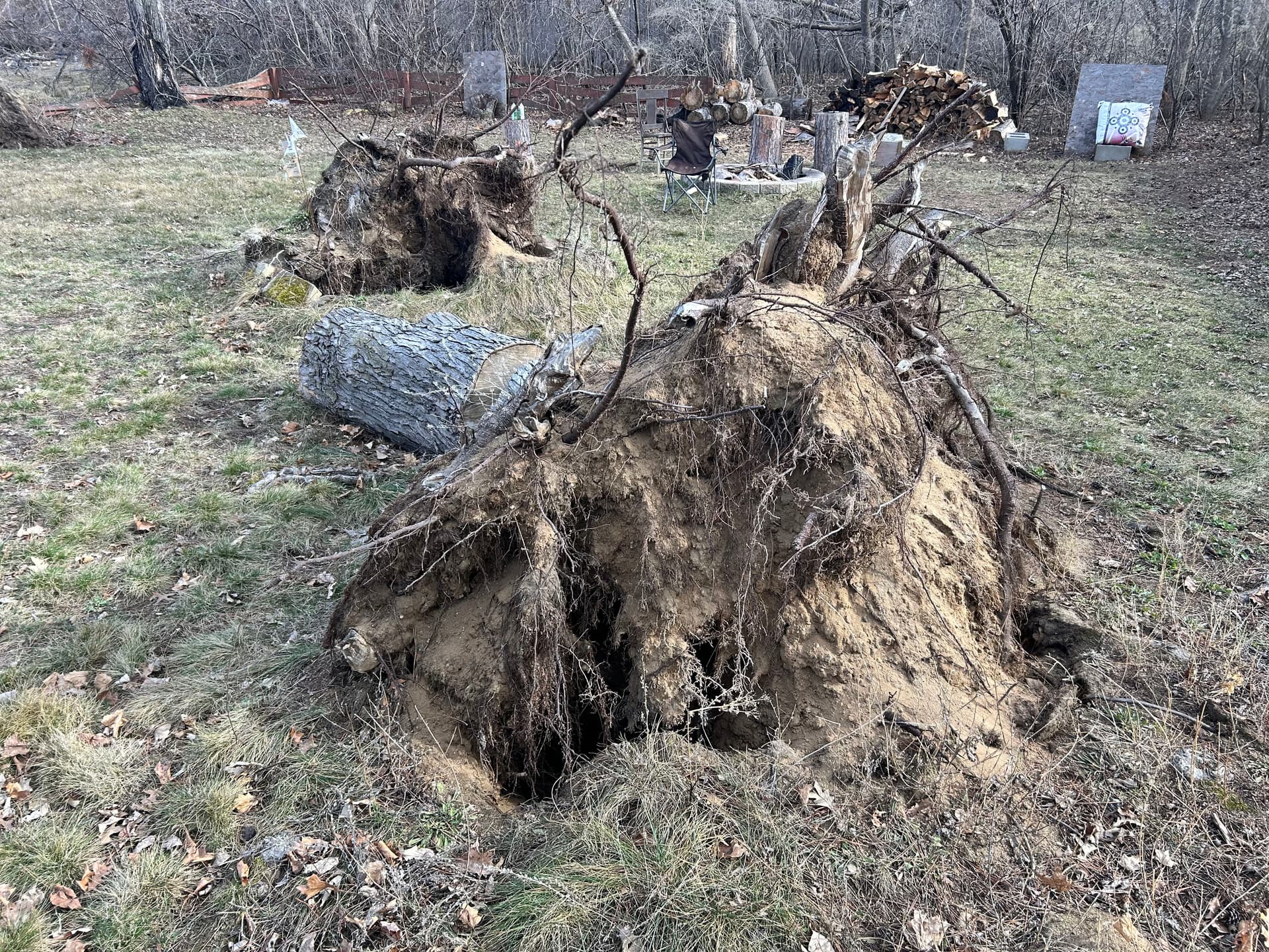 Gallery photos for Stump Removal Done Right - Full Grading and Grass Seed Finish: Image #3