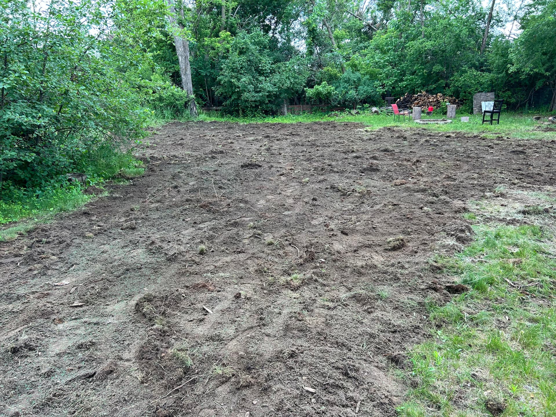 Gallery photos for Stump Removal Done Right - Full Grading and Grass Seed Finish: Image #6